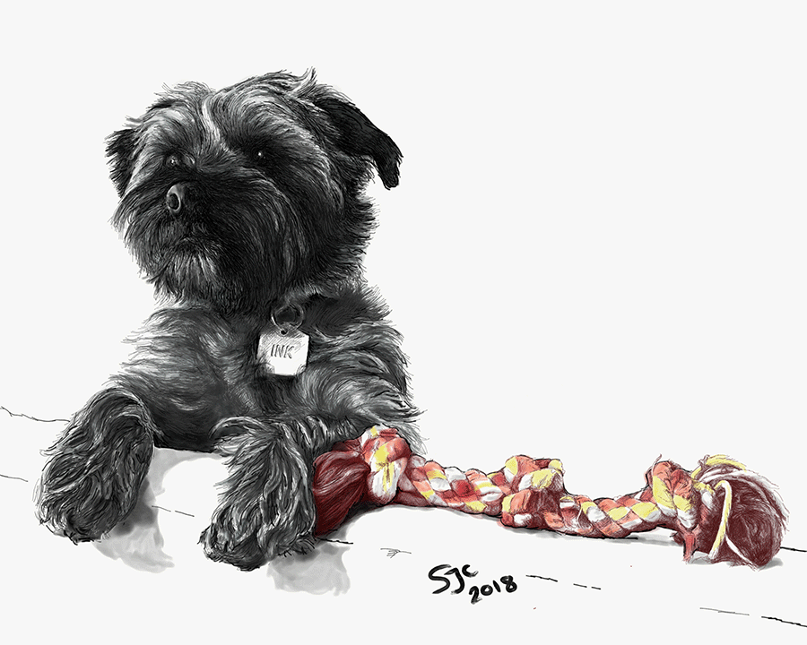 Ink on the Couch - Digital Sketch