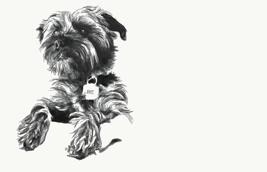 Image of first layer