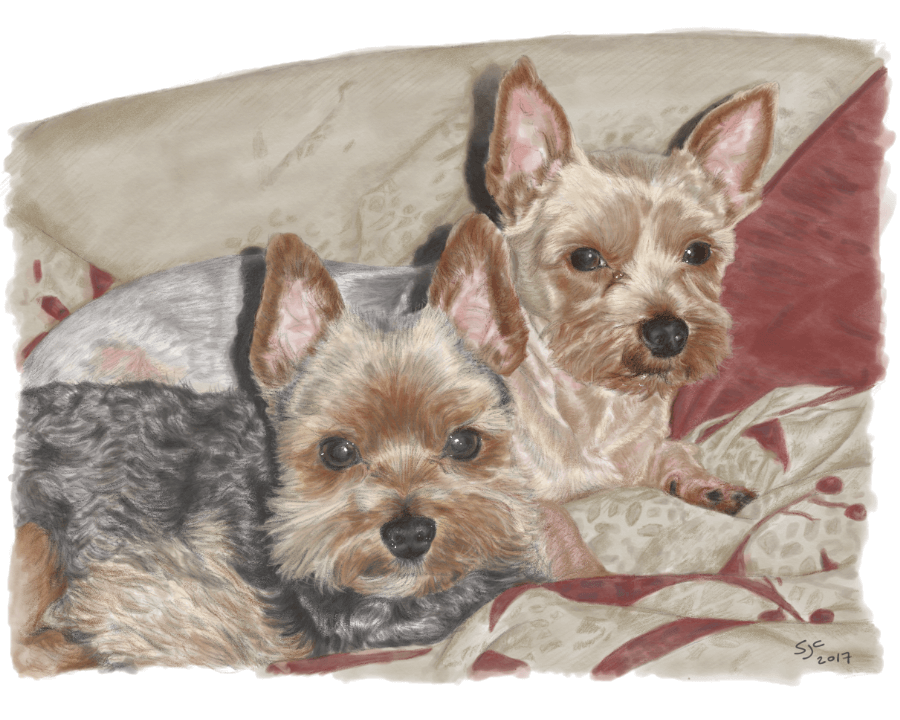 Jazz and Toby - Digital watercolour